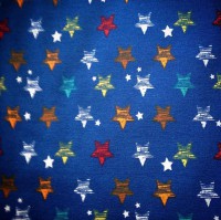 /album/tessuti/biojersey-stelle-azzurro2-jpg/